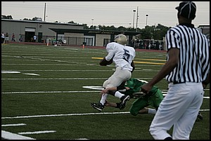 _Q1V0158.JPG