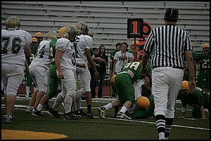 _Q1V0167.JPG