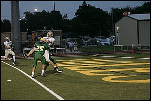 _Q1V0361.JPG