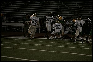_Q1V0378.JPG