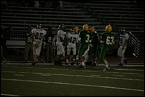 _Q1V0380.JPG