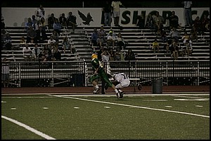 _Q1V0384.JPG