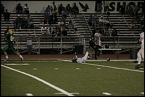 _Q1V0386.JPG