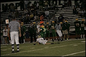 _Q1V0456.JPG