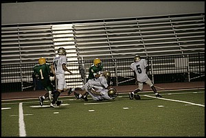 _Q1V0590.JPG