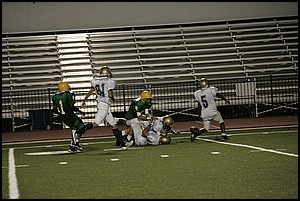 _Q1V0591.JPG