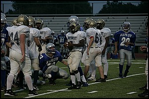 _Q1V0440.JPG