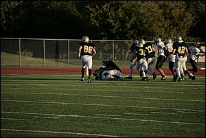 _Q1V0238.JPG